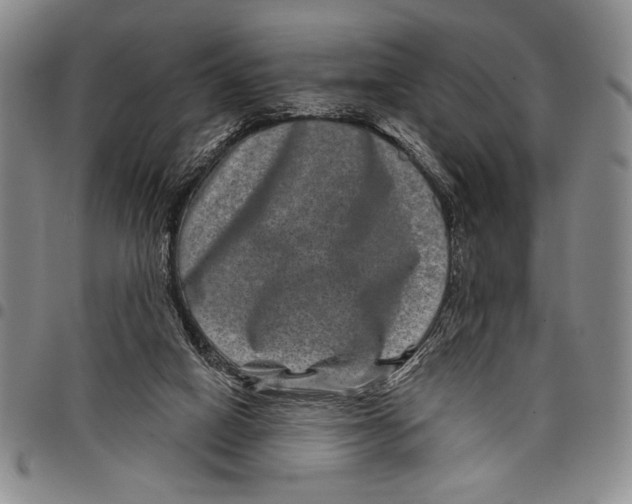 X0000097950066200804141014