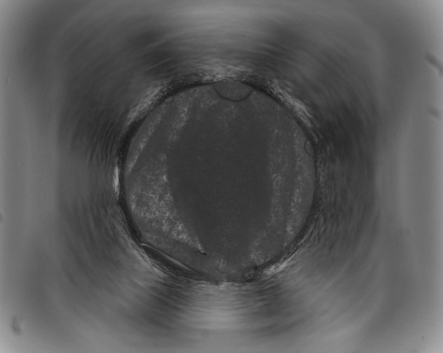 X0000097950067200804141014
