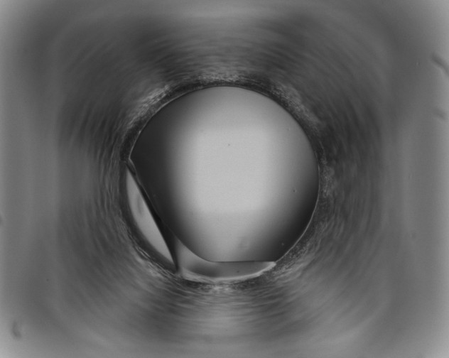 X0000097950068200804141014