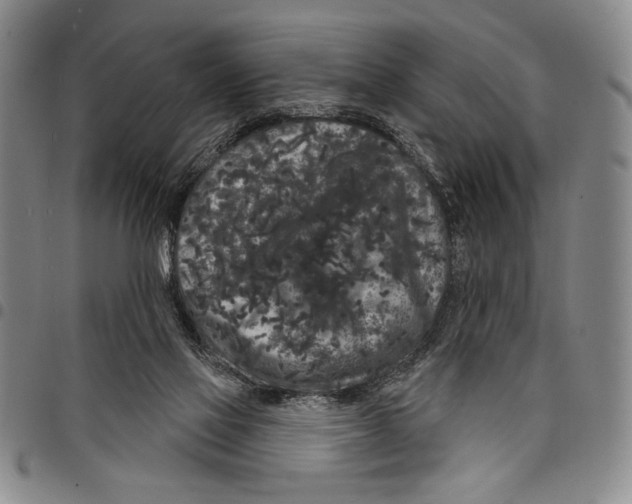 X0000097950069200804141014