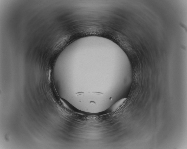 X0000097950070200804141014