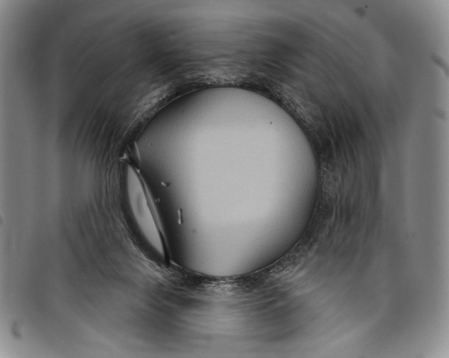 X0000097950071200804141014