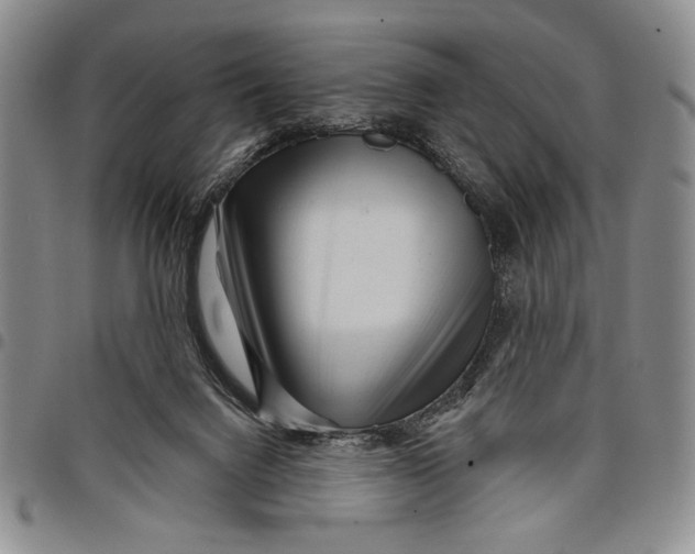X0000097950072200804141014