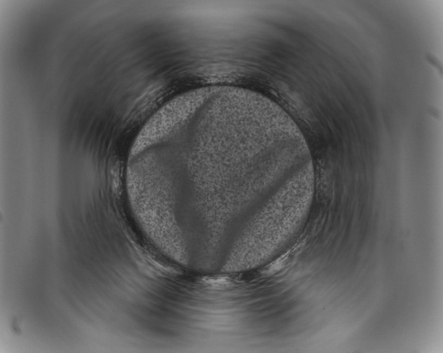 X0000097950074200804141014