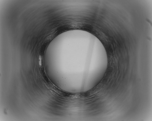 X0000097950075200804141014