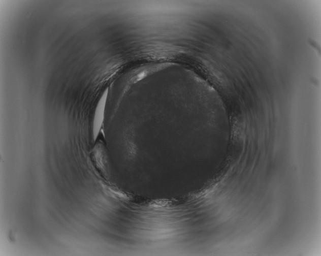 X0000097950076200804141014