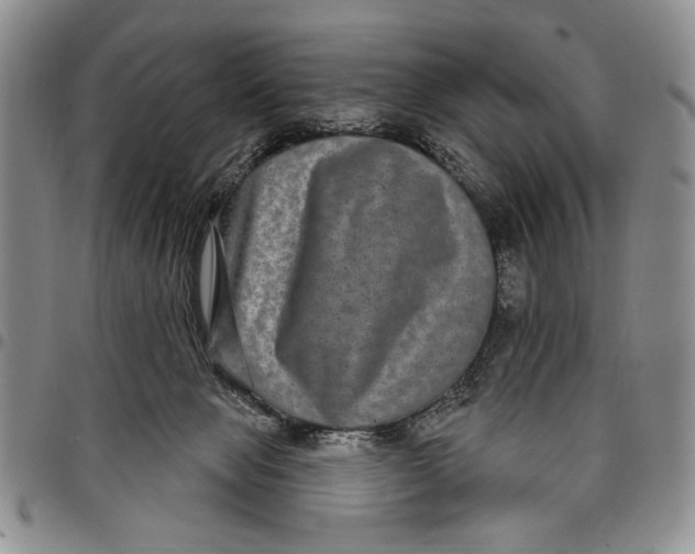 X0000097950077200804141014