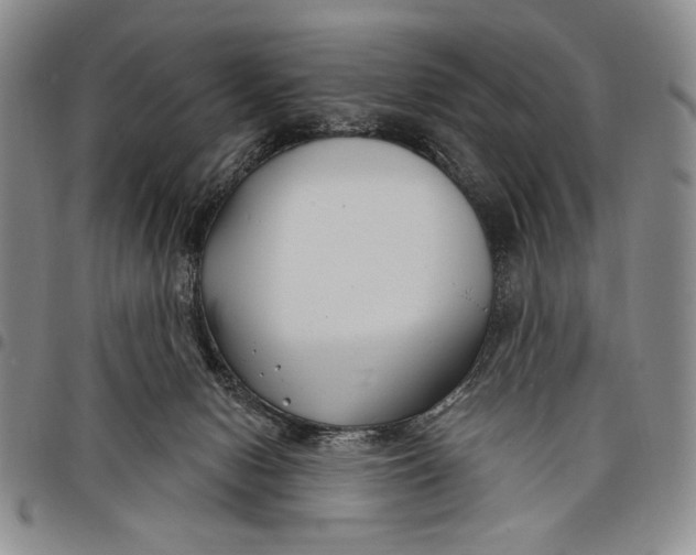 X0000097950078200804141014
