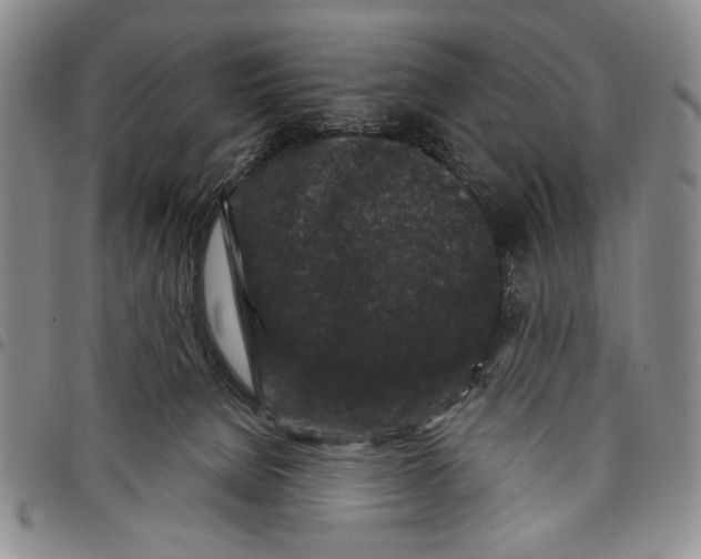 X0000097950080200804141014