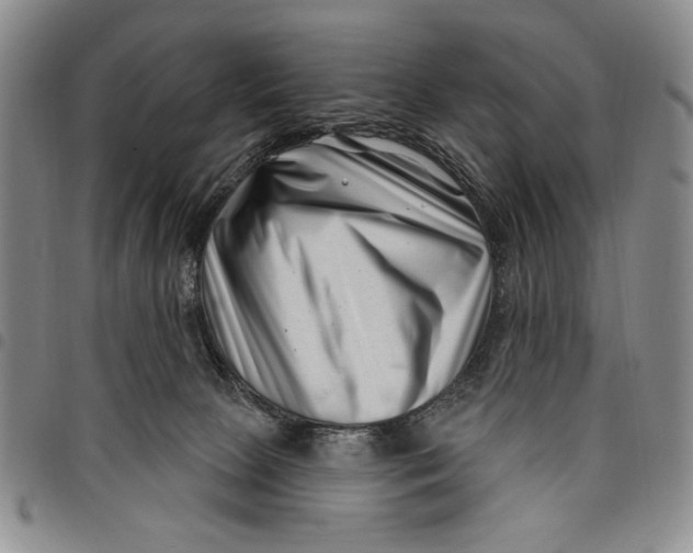 X0000097950081200804141014