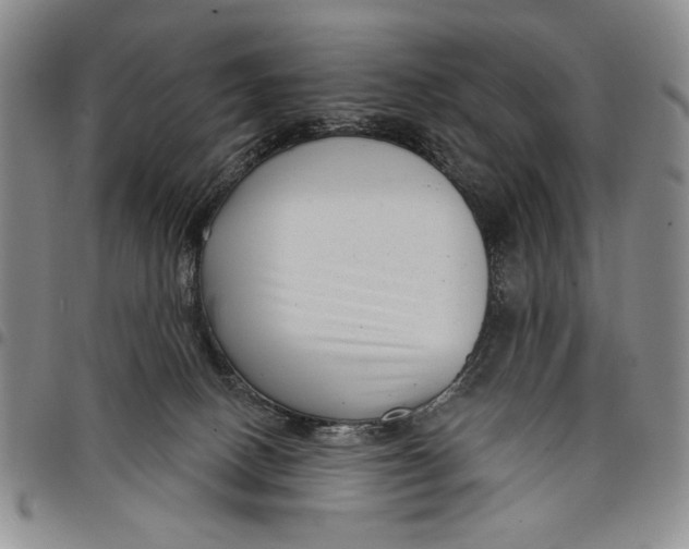 X0000097950082200804141014