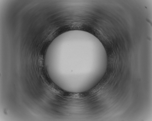 X0000097950083200804141014