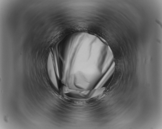 X0000097950084200804141014
