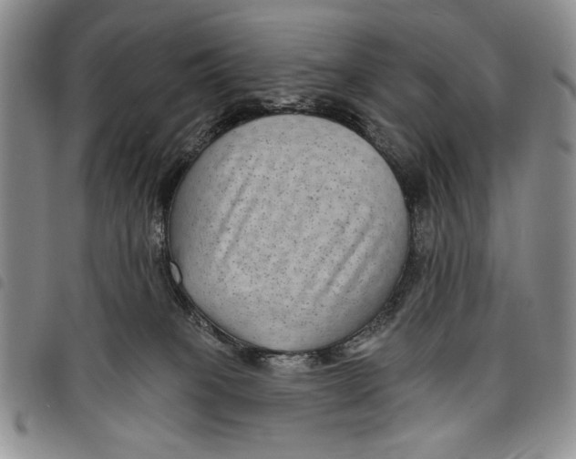 X0000097950085200804141014