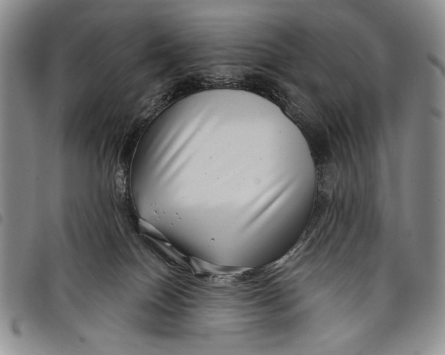 X0000097950086200804141014