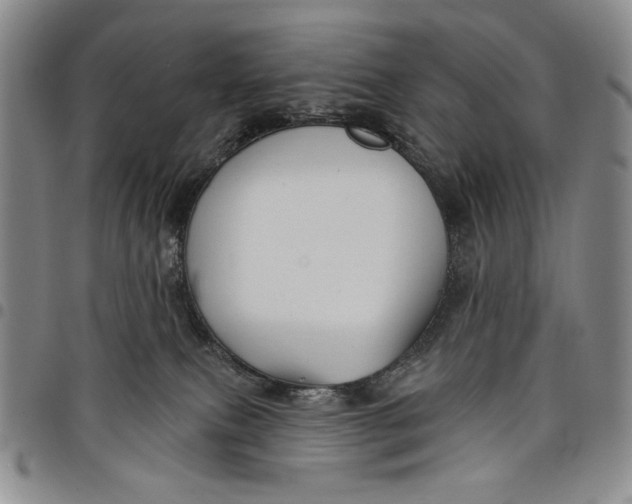 X0000097950087200804141014