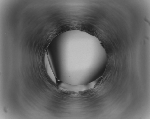 X0000097950088200804141014