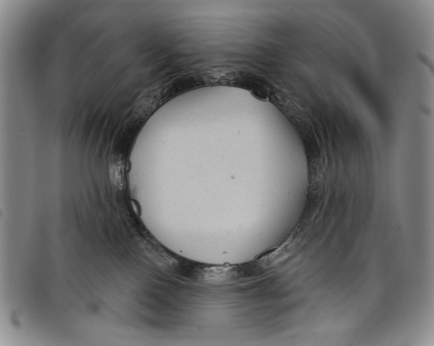 X0000097950090200804141014