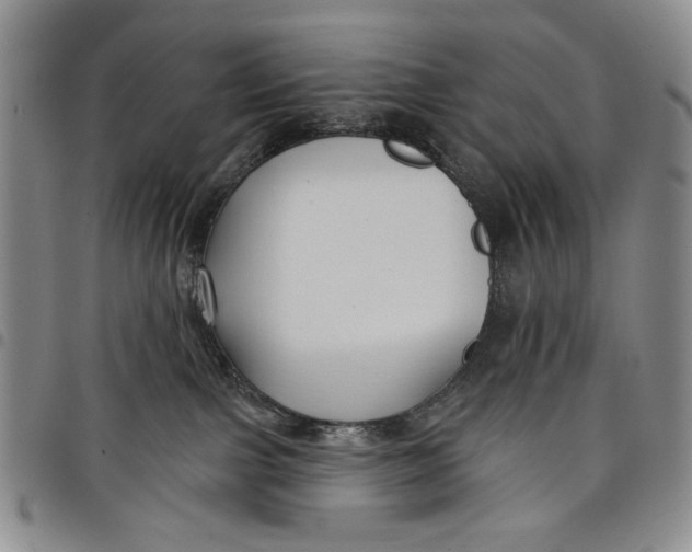 X0000097950091200804141014