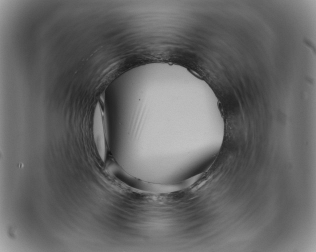 X0000097950092200804141014