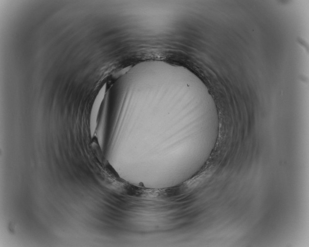 X0000097950096200804141014