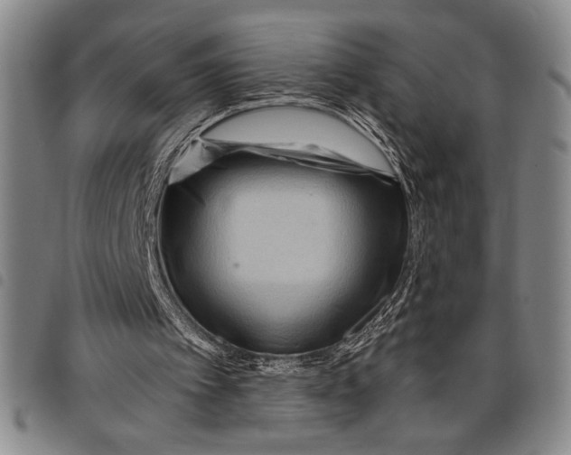 X0000097950097200804141014