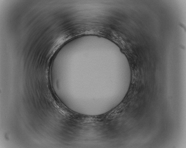 X0000097950098200804141013
