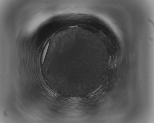 X0000097950099200804141013