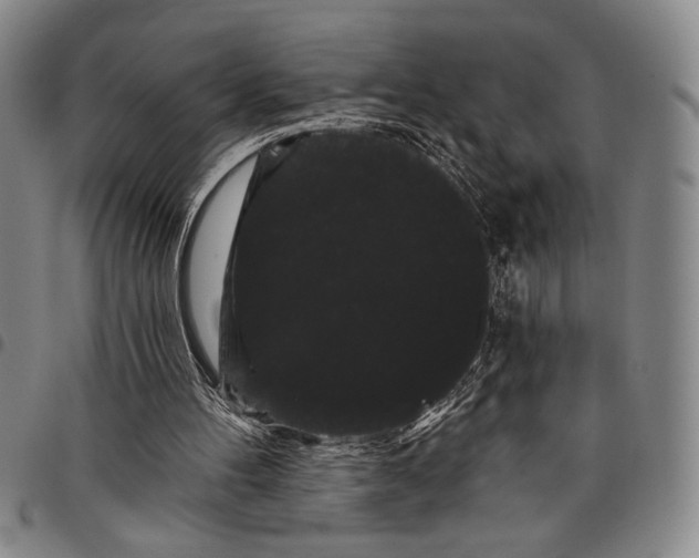 X0000097950100200804141013