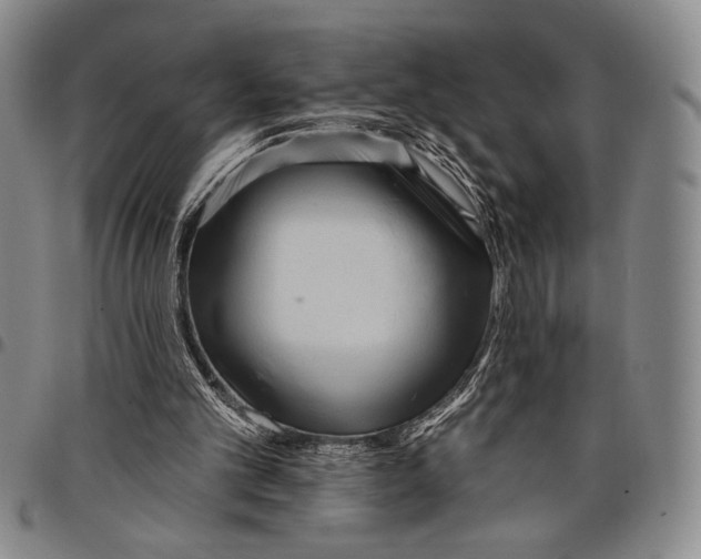 X0000097950101200804141013