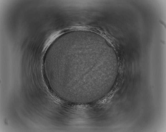 X0000097950103200804141013
