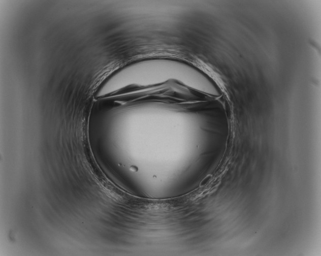 X0000097950105200804141013