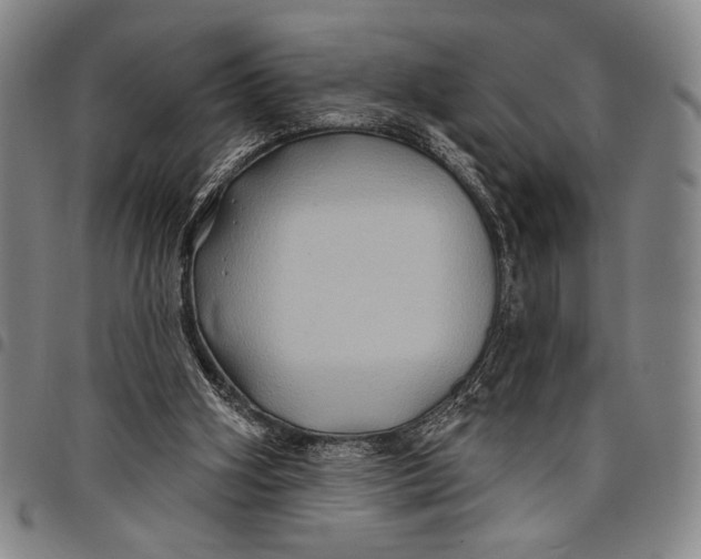 X0000097950106200804141013