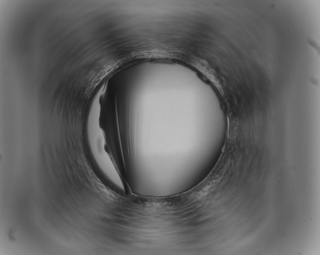 X0000097950109200804141013