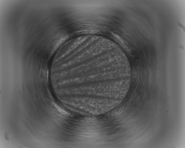 X0000097950110200804141013