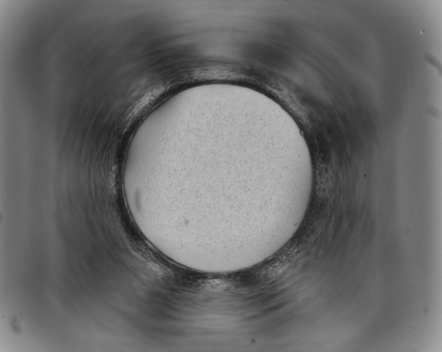 X0000097950111200804141013