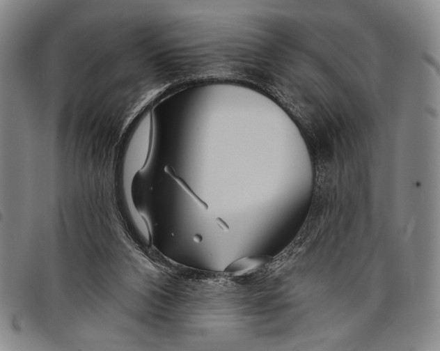 X0000097950112200804141013