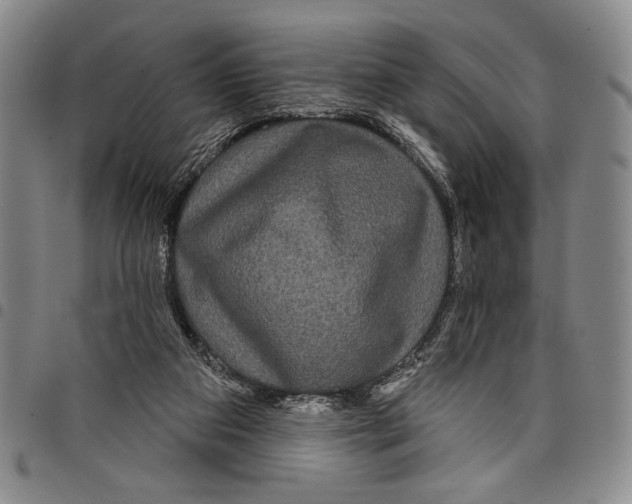 X0000097950113200804141013