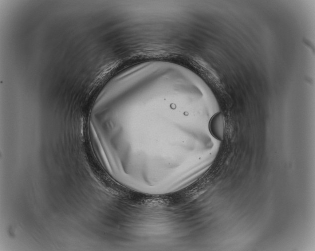 X0000097950115200804141013