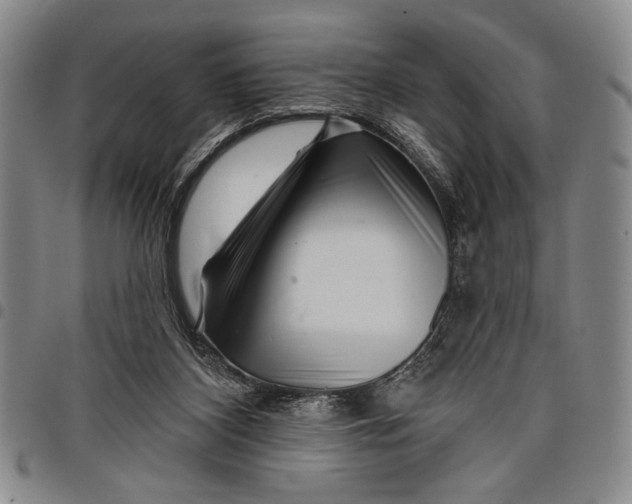 X0000097950116200804141013