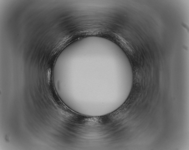 X0000097950118200804141013