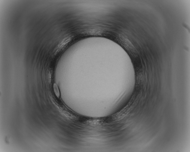 X0000097950120200804141013