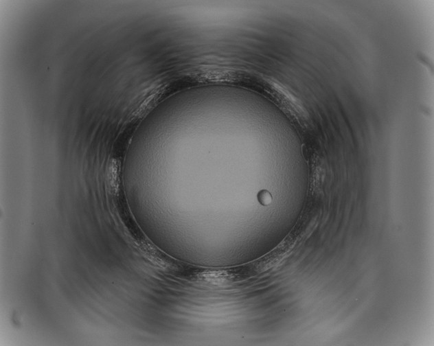 X0000097950121200804141013