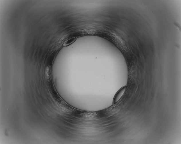 X0000097950122200804141013