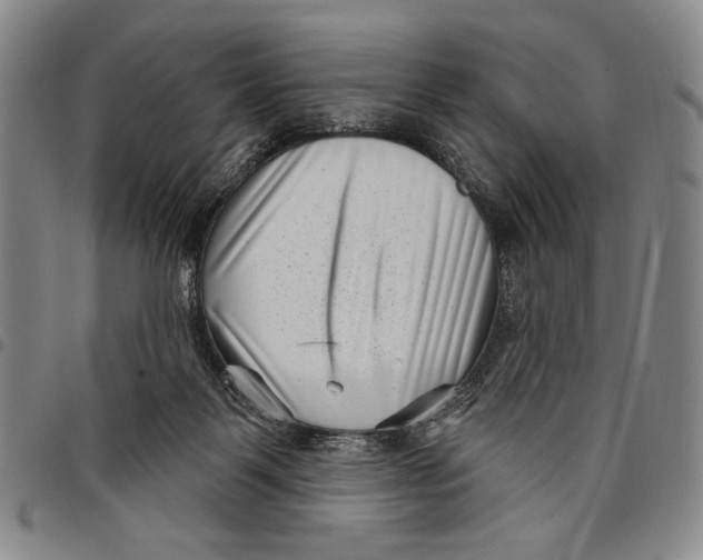 X0000097950123200804141013