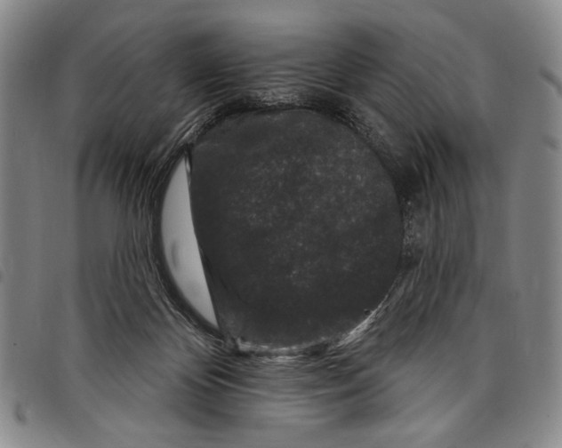 X0000097950124200804141013
