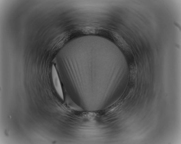 X0000097950125200804141013