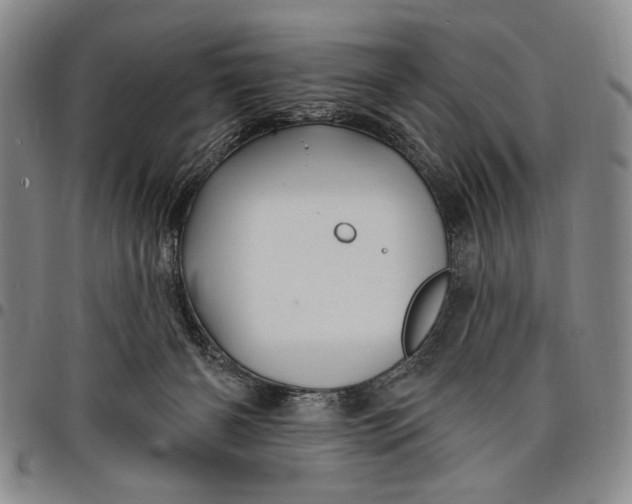 X0000097950126200804141013