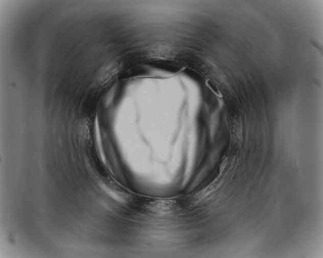 X0000097950128200804141013