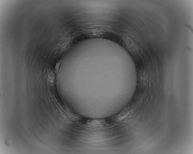 X0000097950129200804141013